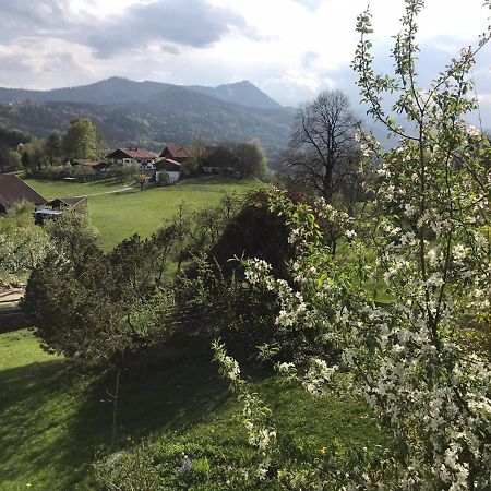Entspannen Mit Bergpanorama Siegsdorf Kültér fotó